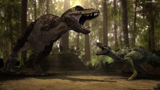 Dinosaurs fighting forest trees sunlight - the background and sunlight free wallpaper for desktop