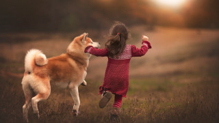 Little girl playing dog field - little free wallpaper