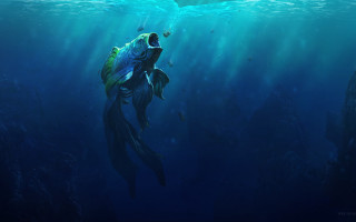 Large fish swimming ocean man - a fish free wallpaper for desktop